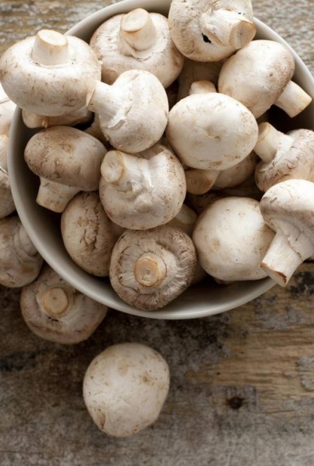 ماهي العلاقة بين تناول الفطر والاكتئاب