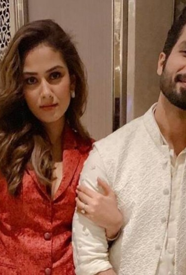 ميرا راجبوت وشاهيد كابور