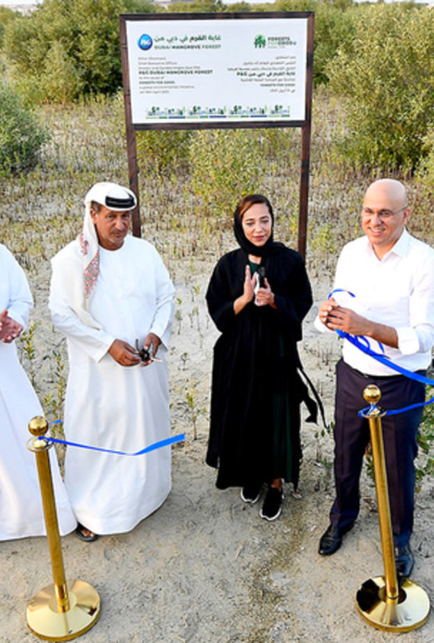  من افتتاح غابة القرم