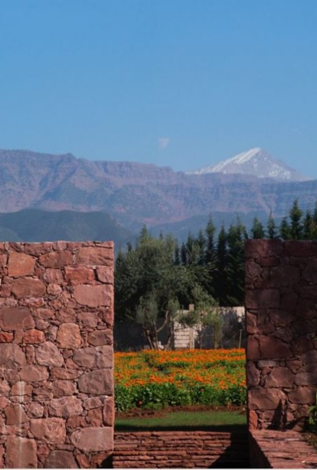 في يوم الأرض.. YSL Beauty تُعيد تأكيد التزامها بالاستدامة عبر تطوير حدائق أوريكا المجتمعيّة