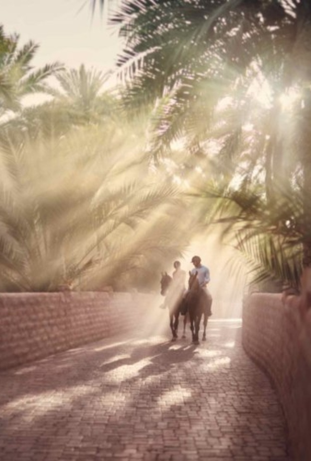  جزيرة بوطينة