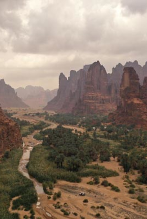 بين الشعاب المرجانية والمياه الفيروزية تنمو الأشجار الساحرة على اطراف الجزر