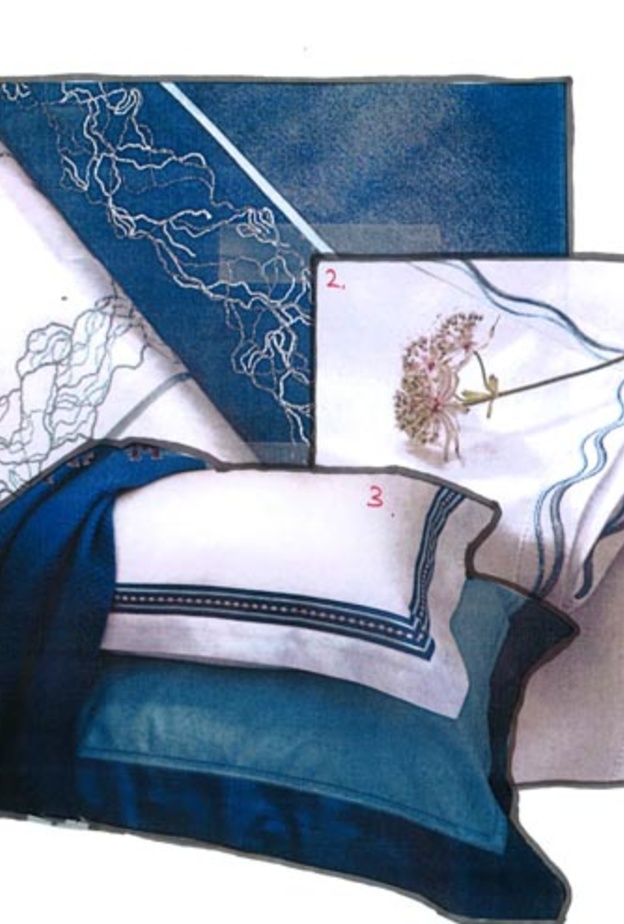 نباتات القطن