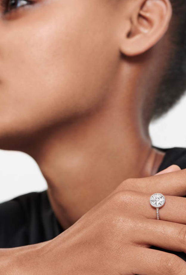 مجموعة _وردة الرياح_ Rose Des Vents من مجوهرات _ديور_ Dior Joaillerie