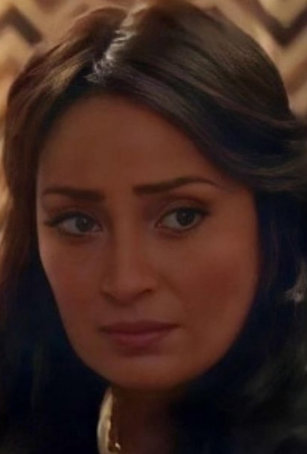 نرمين الفقي 