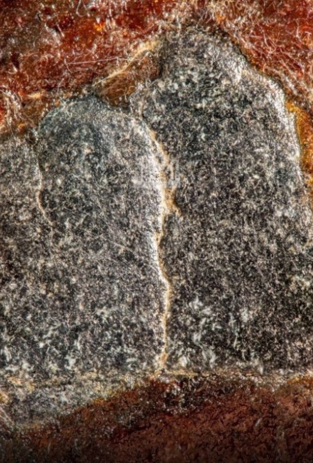 شؤون الحرمين توثق الحجر الأسود بتقنية Focus Stack Panorama