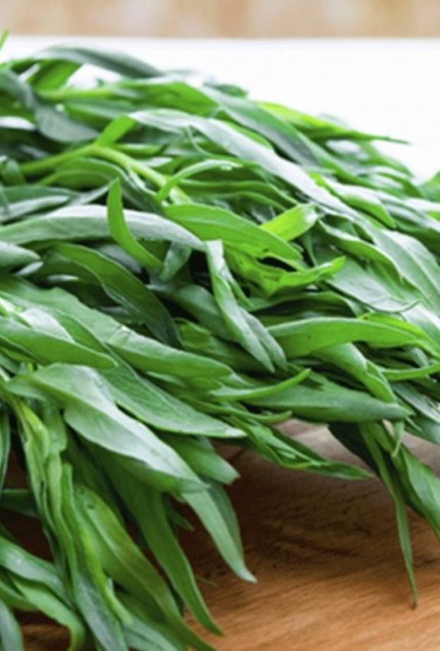 ماهو الطرخون وماهي فوائده واضراره ومحاذير استخدامه