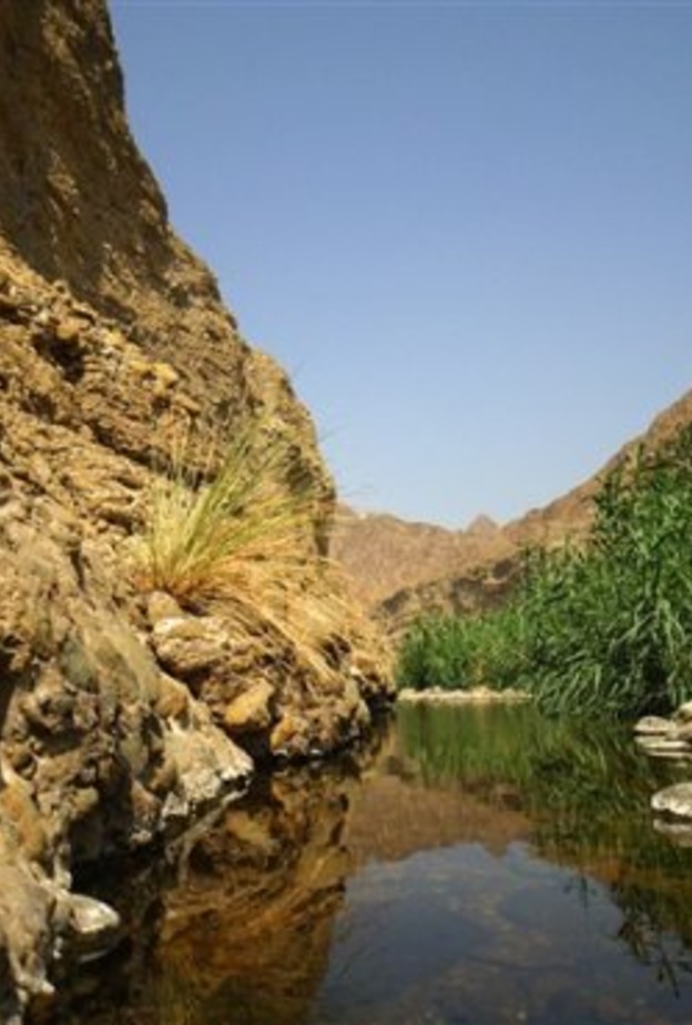 حديقة عين مضب الكبريتية وجهة مميزة للاستشفاء والاسترخاء