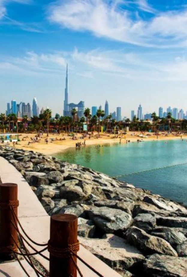  أجواء مبهجة في حديقة دبي للفراشات