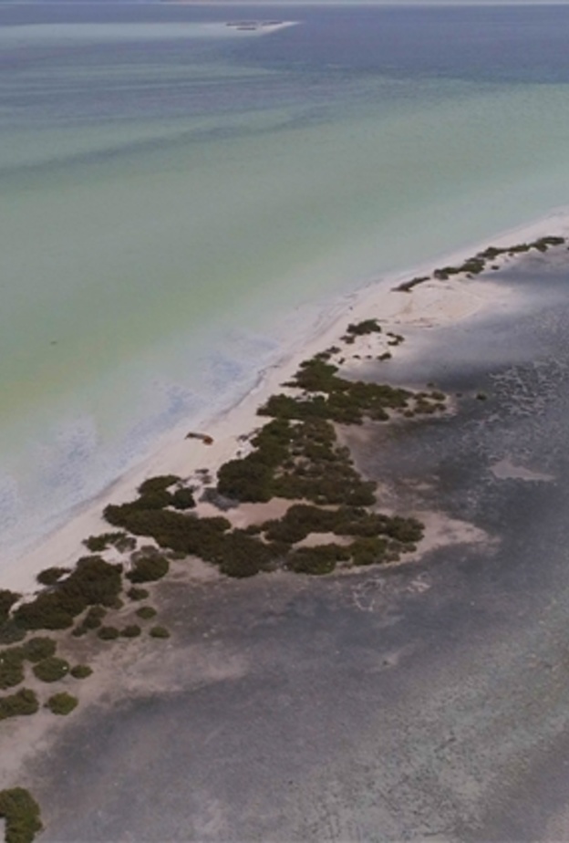 محمية بو السياييف البحرية سحر خاص وطبيعة خلابة