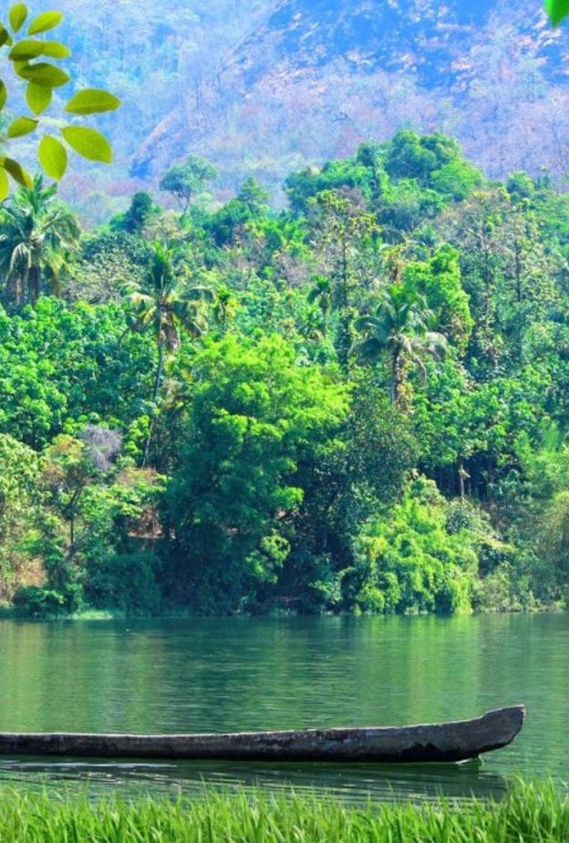 جمال الحدائق الوطنية في كيرلا بواسطة bissdesigning