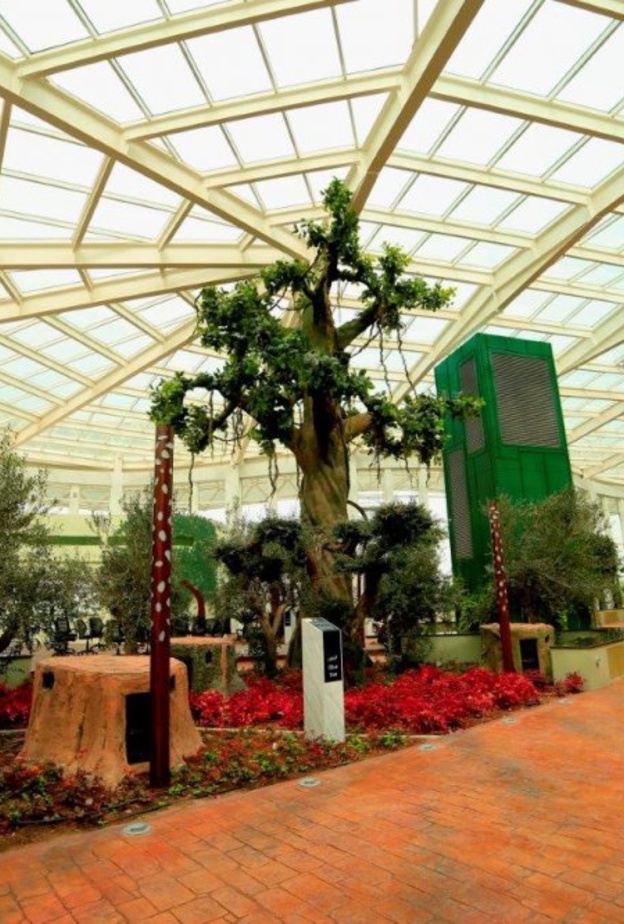 الحديقة القرآنية.. وجهة إماراتية ساحرة لعشاق الاسترخاء والاستجمام