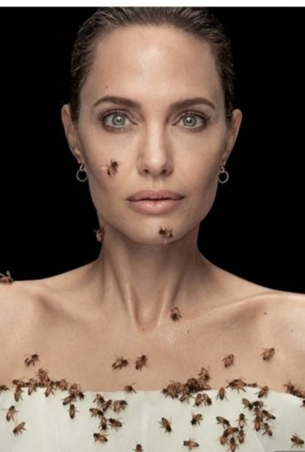 أنجلينا جولي مغطاة بالنحل
