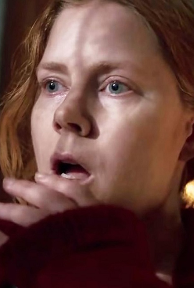 The Woman in the Window فيلم