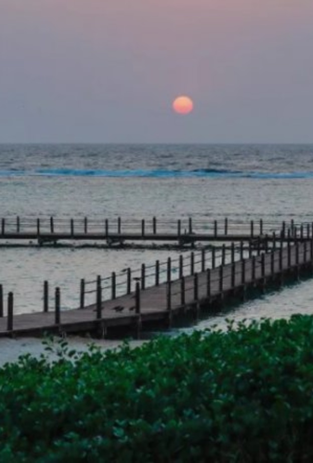 شاطئ يام.. وجهة بحرية ساحرة وفعاليات لجميع أفراد الأسرة بالسعودية - المصدر روح السعودية