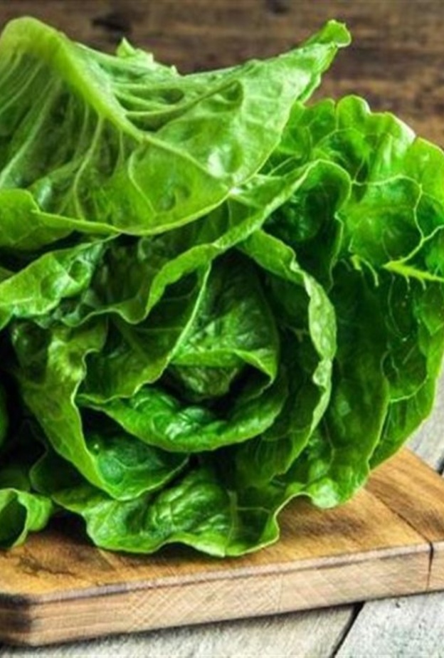 ماهي فوائد الخس لمرضى الكلى