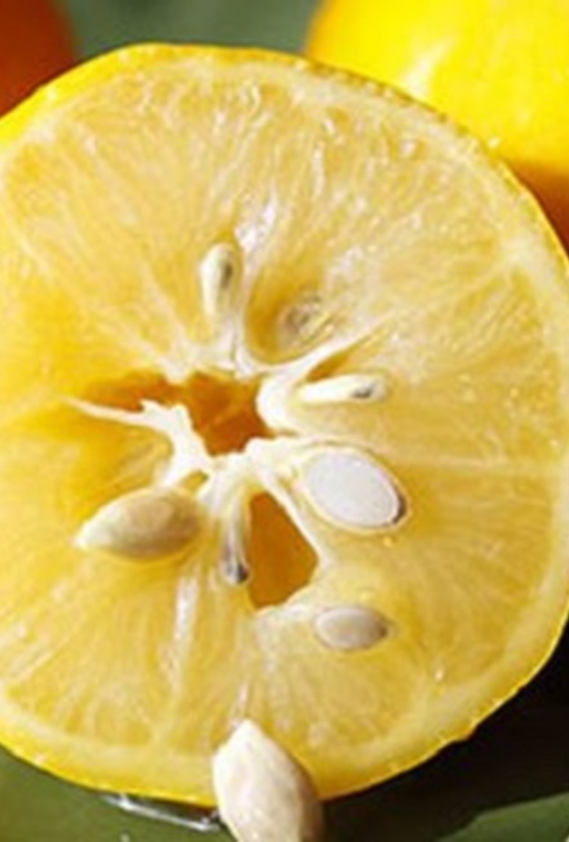  ماهي فوائد بذور الليمون للصحة