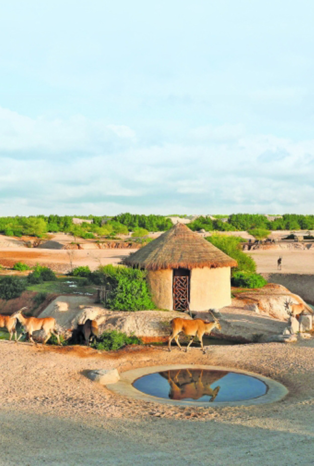 سفاري العين.. وجهة ساحرة لعشاق المغامرة بالإمارات