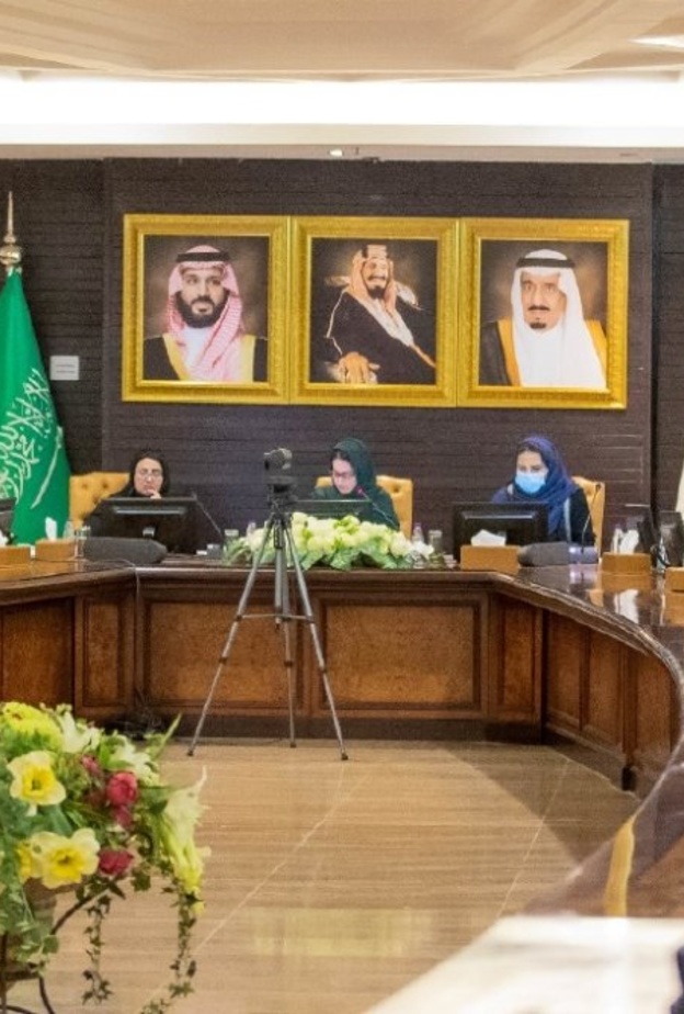 المجلس التنسيقي لعمل المرأة يعتمد 4 أهداف لتمكين المرأة اقتصادياً