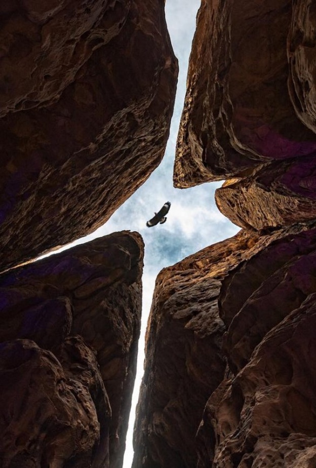 المصور السعودي محمد الجريبي.. موهبة مميزة تعكس إبداع ورونق الصورة 