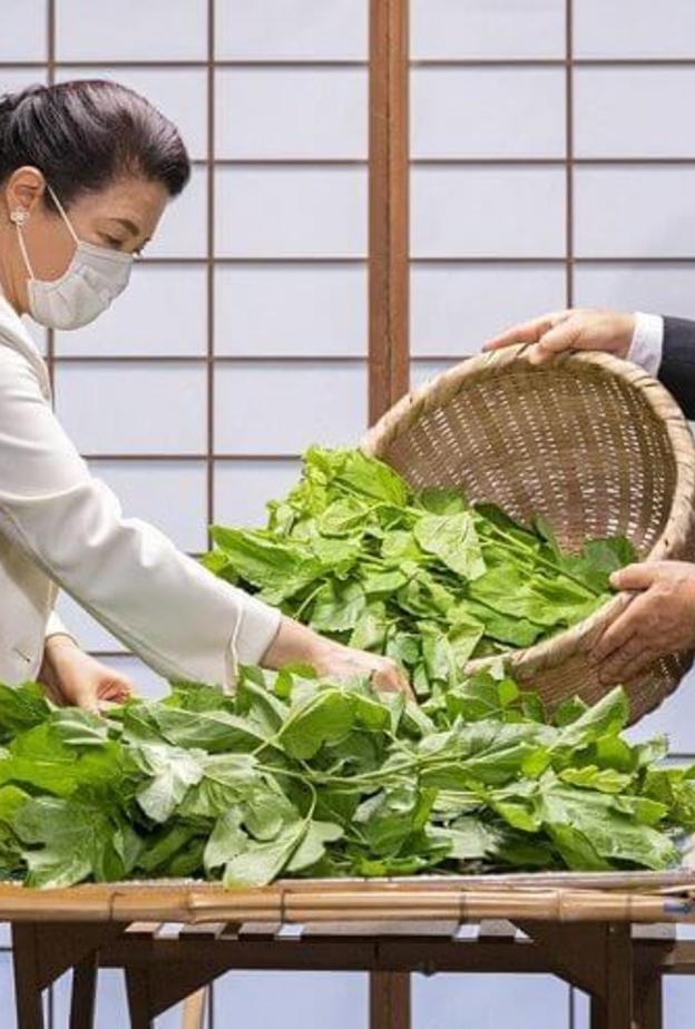 الإمبراطورة ماساكو تشارك في الاحتفال التقليدي بمزرعة دودة القز في القصر الإمبراطوري