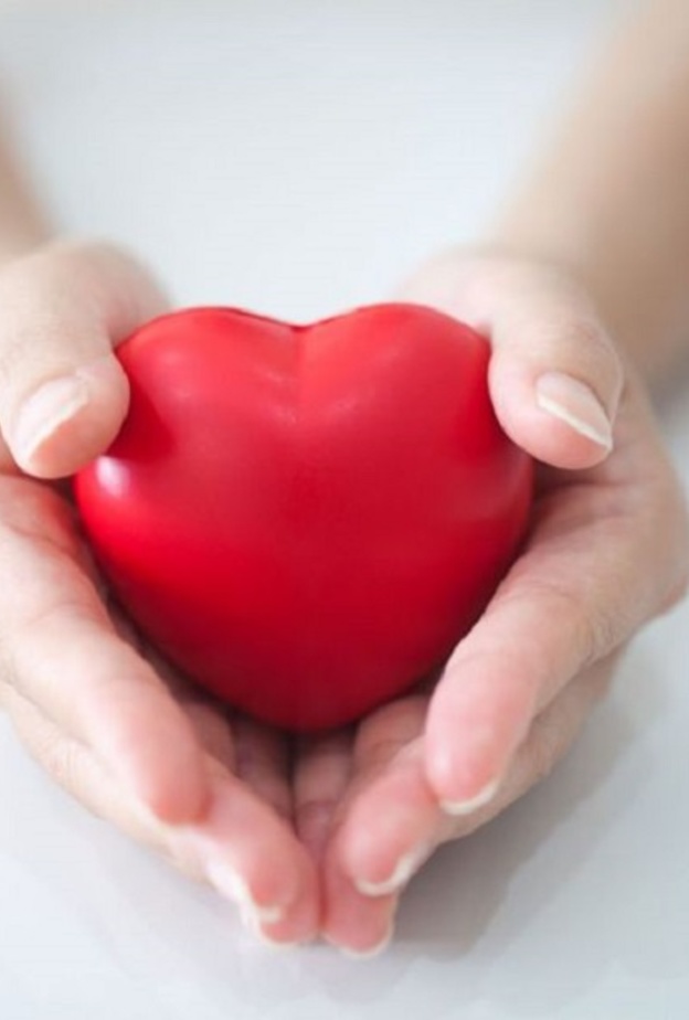  ماهي الخضروات التي تحمي القلب من الامراض