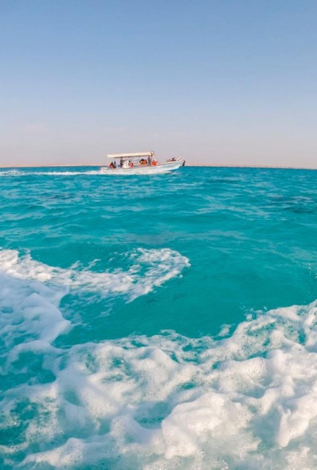 الوجه - المصدر حساب انستقرام مسارات @masaratclub