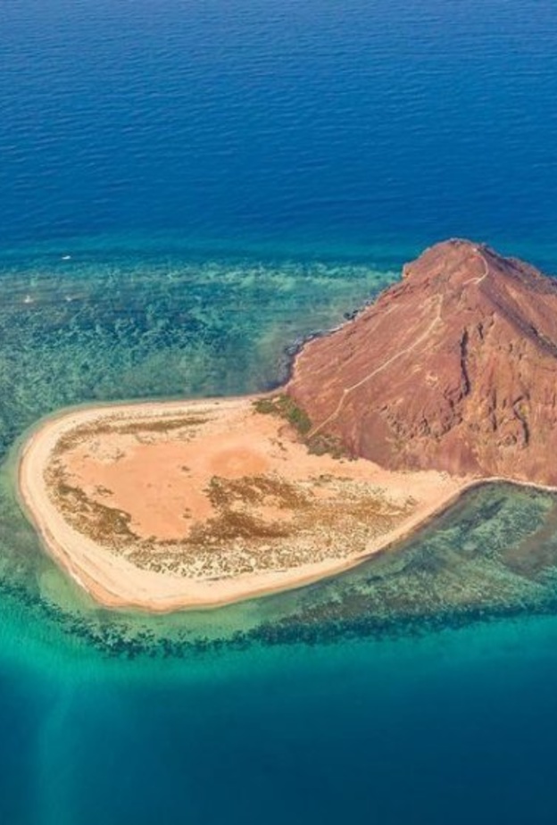 إبداع بين السحاب في أبها