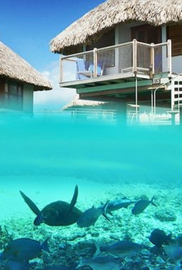  بورا بورا في بولينيزيا