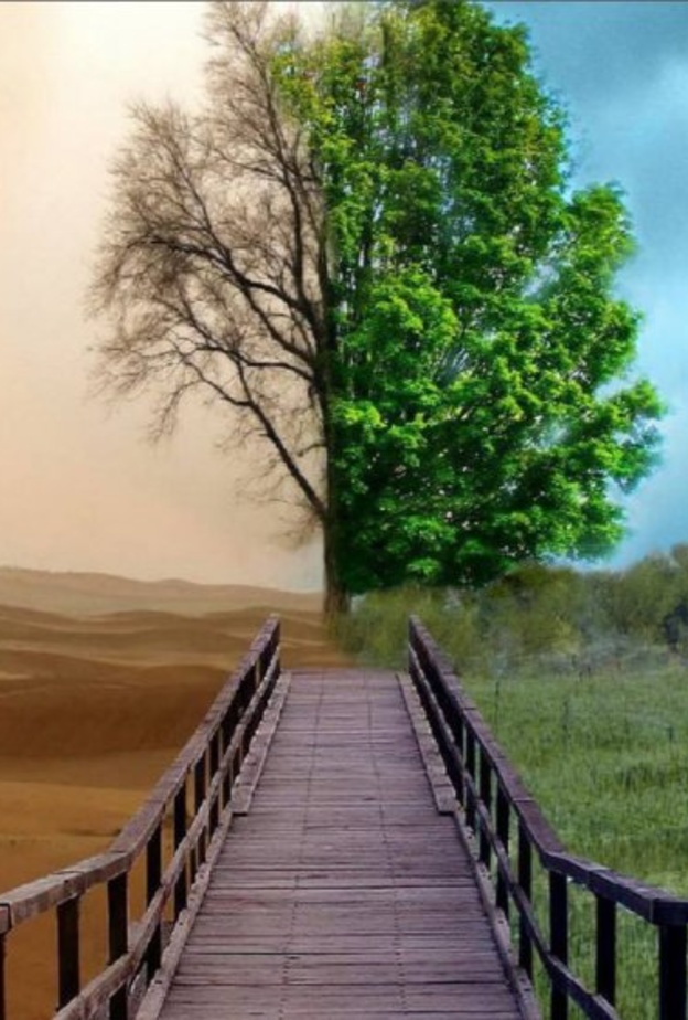 الصحراء تنبض بالحياة في المشروع المبتكر