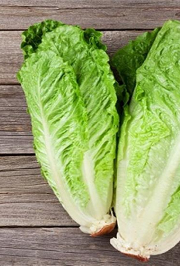 ماهي فوائد الخس القولون وكيف يطرد السموم من الجسم