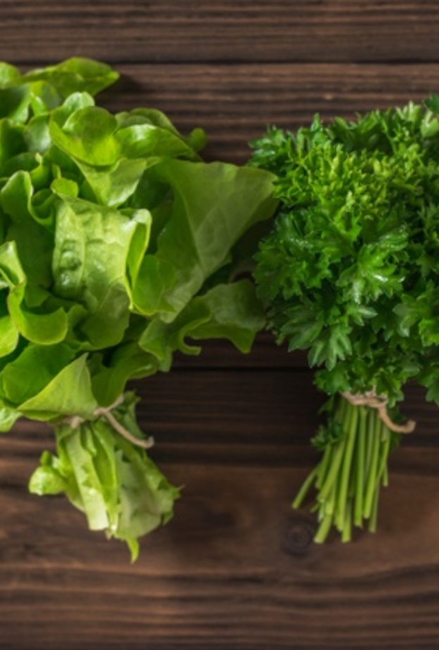 ماهي فوائد الخس والبقدونس للصحة