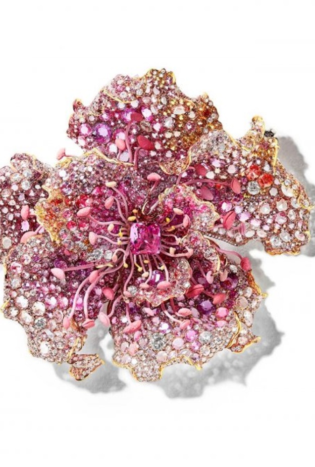 بروش من سيندي تشاو Cindy Chao