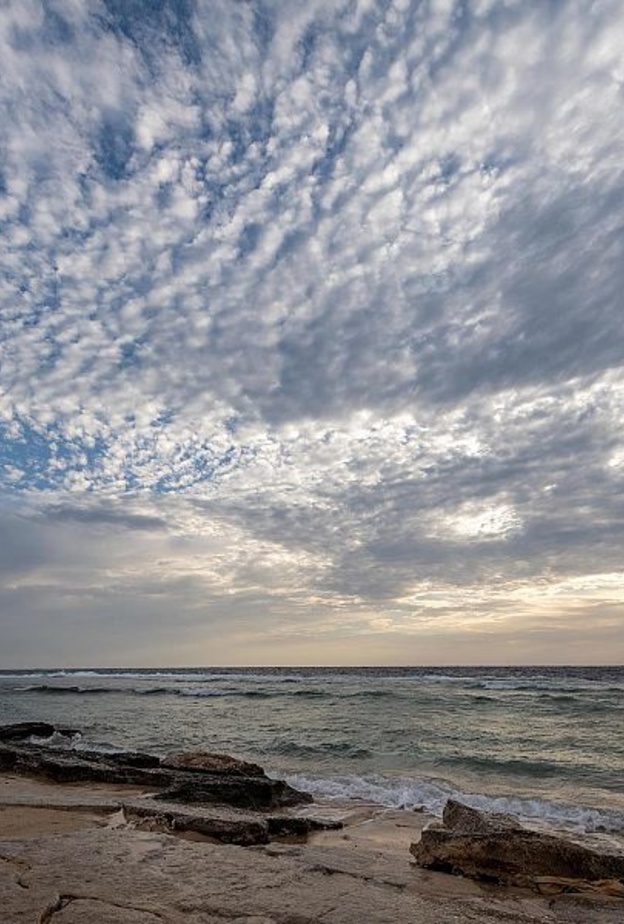 شاطئ الدرر.. وجهة مثالية لعشاق البحر والأجواء الصيفية المعتدلة