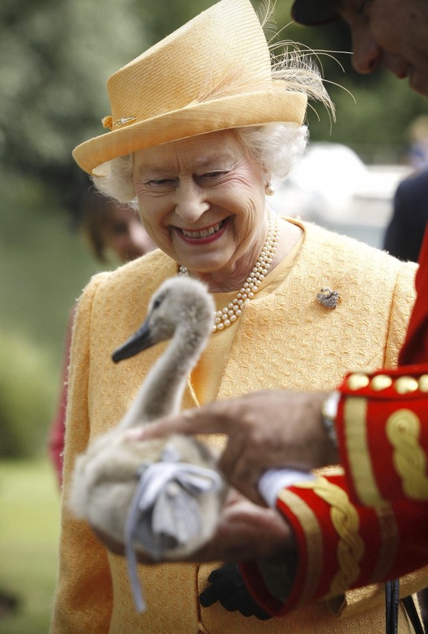 بين غريبة وأخرى أليفة.. ما هي الحيوانات التي تمتلكها ملكة بريطانيا؟