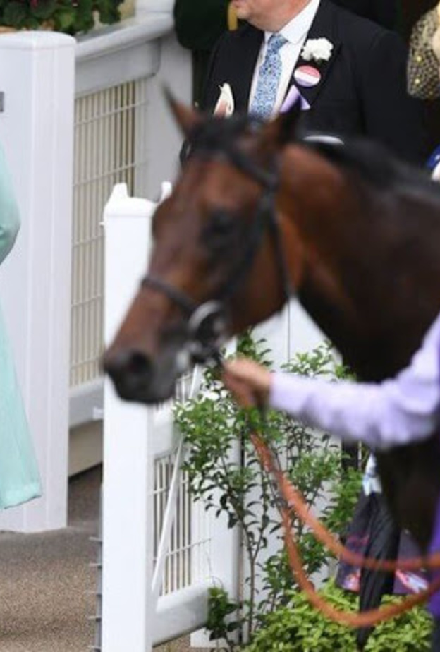 الملكة إليزابيث الثانية