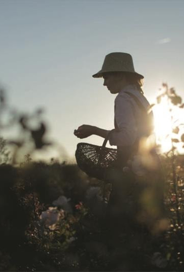 Parfums CHRISTIAN DIOR.. ليكن الجمال بصمتك