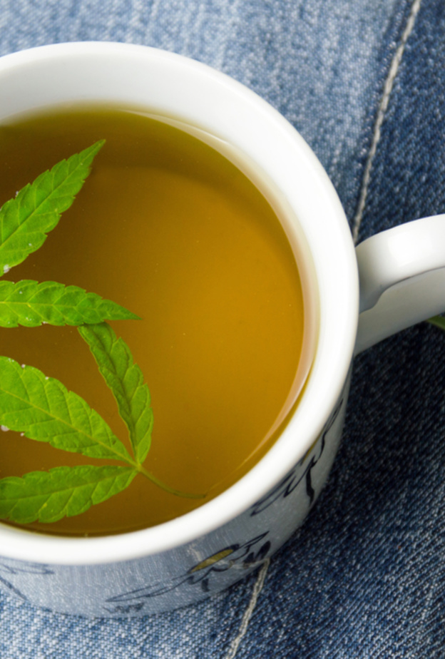  الشاي الأخضر يعزز صحة الجسم