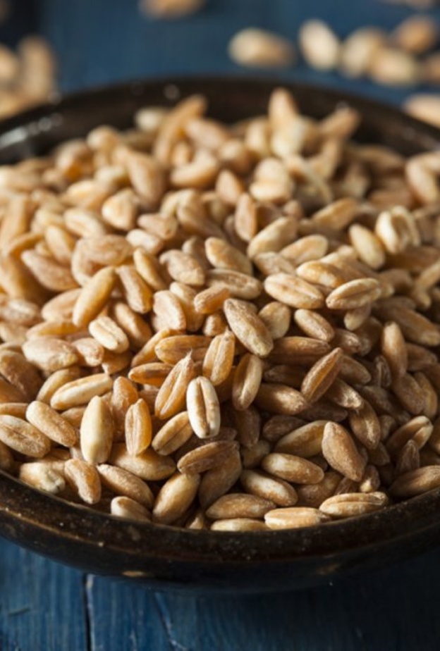 ماهو قمح الفارو وما فوائده الصحية