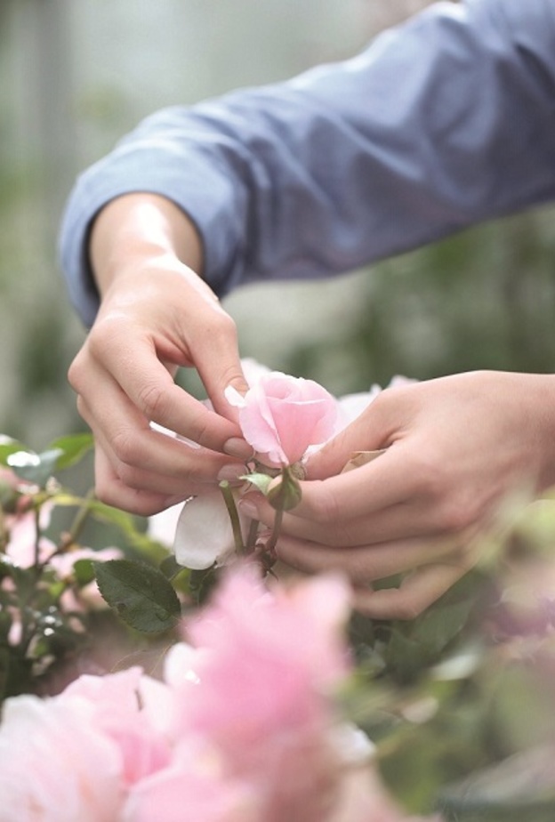 معرض Dior In Roses