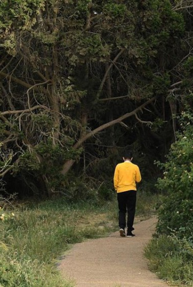 منتزه السودة في عسير.. أجواء معتدلة وطبيعة خلابة تأسر قلوب الزوار- المصدر روح السعودية