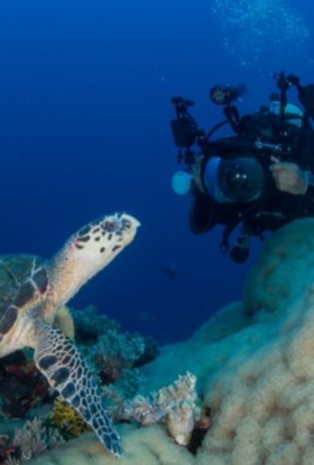 ينبع.. لؤلؤة البحر الأحمر والوجهة الأجمل لعشاق الغوص -الصورة من روح السعودية