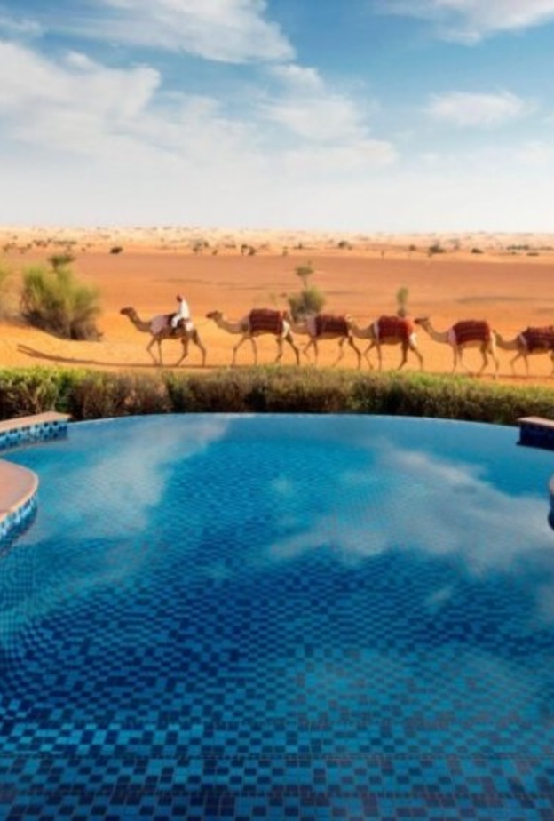 منتجع وسبا المها الصحراوي.. تجربة سياحية حالمة في قلب صحراء دبي