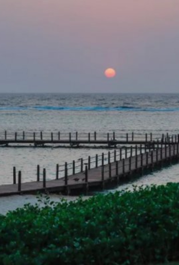 مدينة الملك عبد الله الاقتصادية.. مغامرات وأنشطة بحرية مشوقة لجميع أفراد الأسرة - المصدر روح السعودية