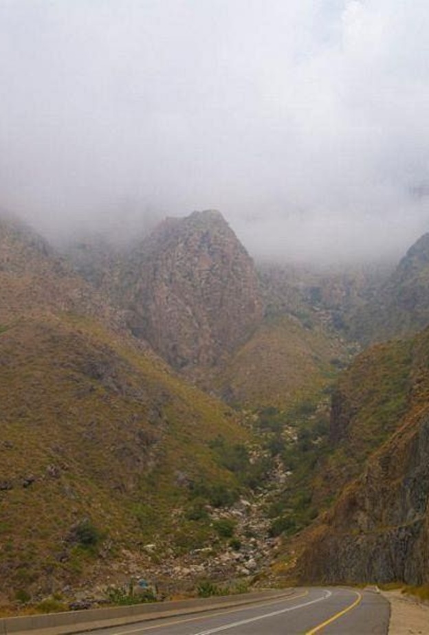  مرتفعات الهدا في  الطائف- المصدر روح السعودية