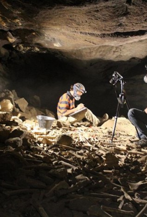 اكتشاف جديد في كهف أم جرسان يعود إلى ما قبل 7000 سنة - المصدر وكالة الأنباء السعودية