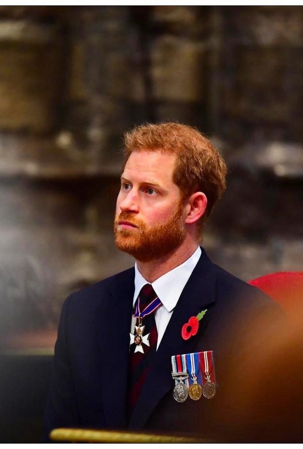 الأمير هاري يظهر في فيديو جديد لصالح مؤسسة جائزة ديانا