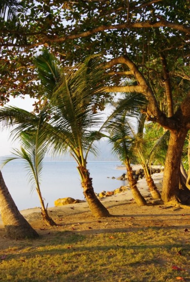 جزيرة تشانغ - Hata Life