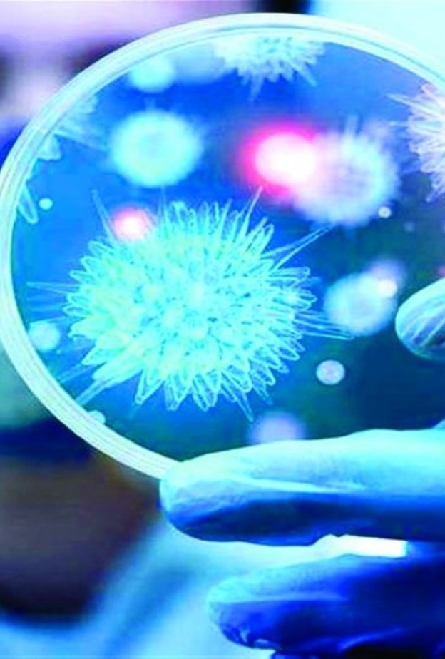 مبادرة صحية جديدة في أبوظبي للتقصي الوبائي-مصدر الصورة البيان