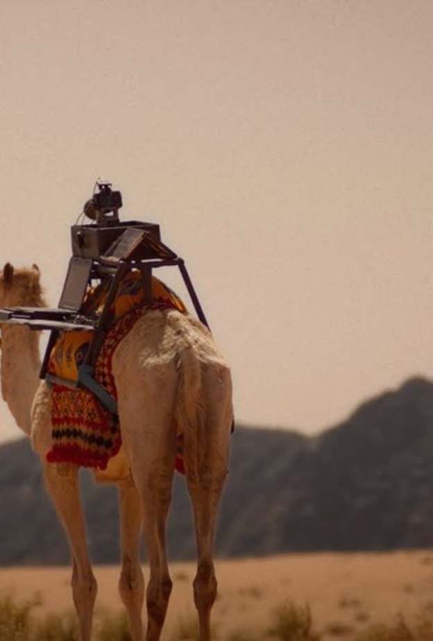 سارحة أول ناقة صانعة محتوى في العالم - من موقع سارحة